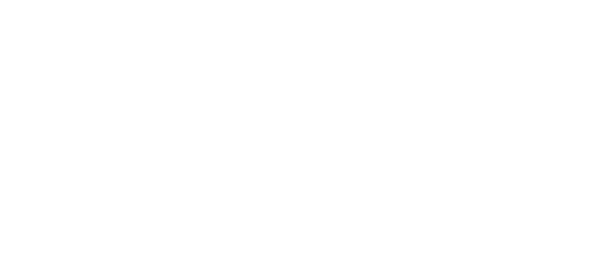 Google Partner